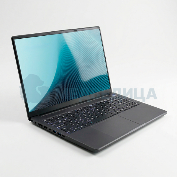 Ноутбук NE356 (16" WUXGA(FHD)/R5_6600H/DDR5_8G/SSD256_M2_NVMe/WiFi/BT)